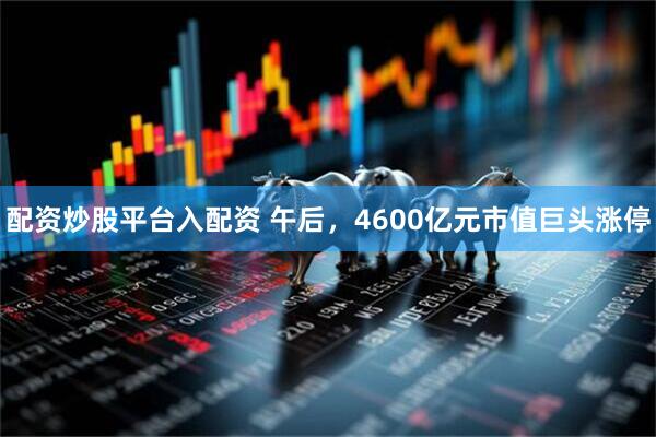 配资炒股平台入配资 午后，4600亿元市值巨头涨停