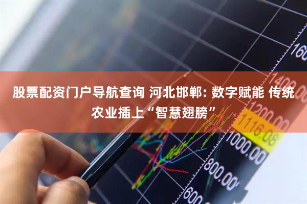 股票配资门户导航查询 河北邯郸: 数字赋能 传统农业插上“智慧翅膀”