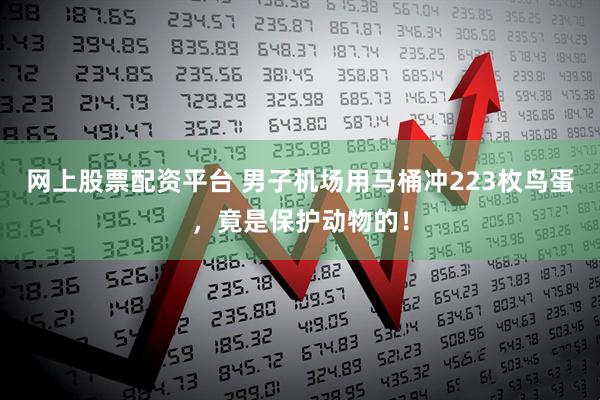 网上股票配资平台 男子机场用马桶冲223枚鸟蛋，竟是保护动物的！